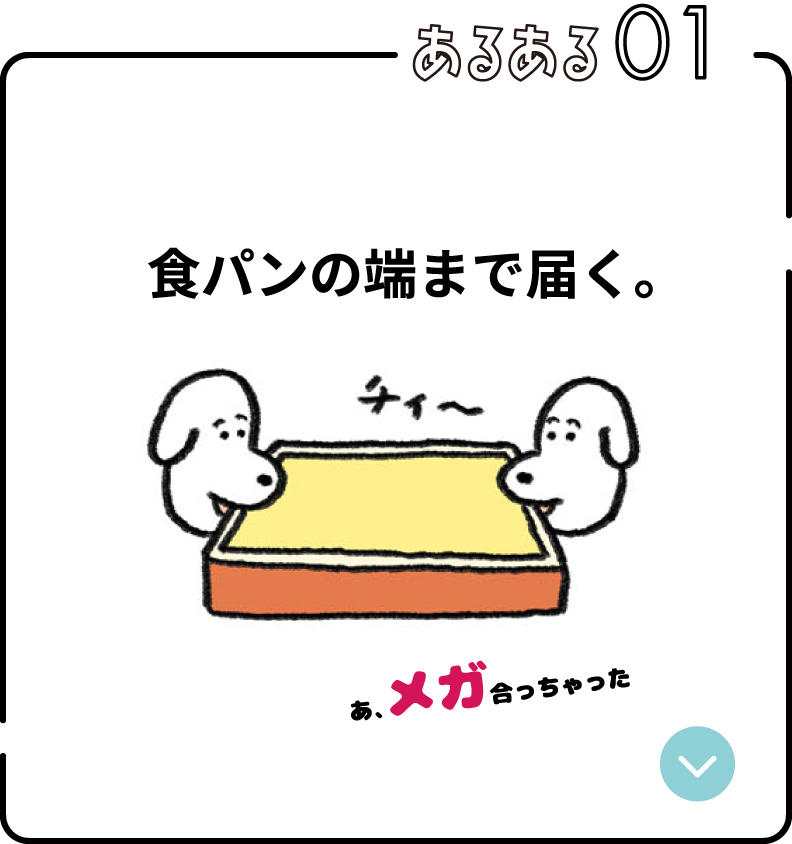 あるある01:食パンの端まで届く。