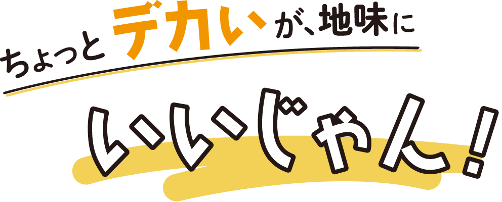 ちょっとデカいが、地味にいいじゃん!